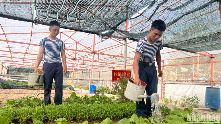 Chiến sĩ tăng gia sản xuất trên đảo. Chiến sĩ tăng gia sản xuất trên đảo.