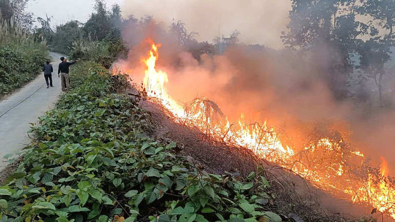 Ngày 22/3, lực lượng chức năng kịp thời dập tắt vụ cháy rừng tại khu vực tổ 2, phường Ngọc Hà, thành phố Hà Giang.