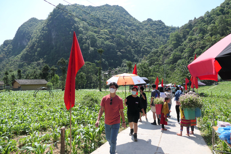 Đông đảo du khách tham quan Làng văn hóa du lịch thôn Lũng Cẩm, huyện Đồng Văn, tỉnh Hà Giang.
