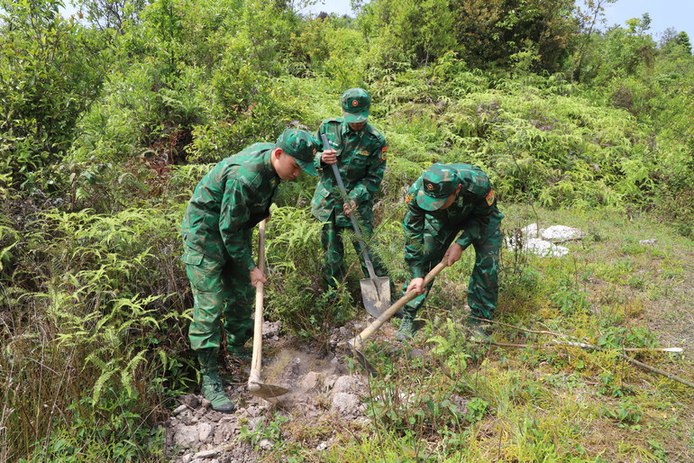 Bộ đội Biên phòng trồng cây xanh vành đai biên giới tại huyện Đồng Văn.