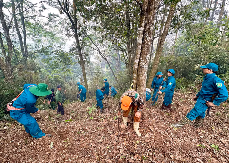 Lực lượng dân quân các xã trên địa bàn huyện Vị Xuyên tham gia chữa cháy rừng.