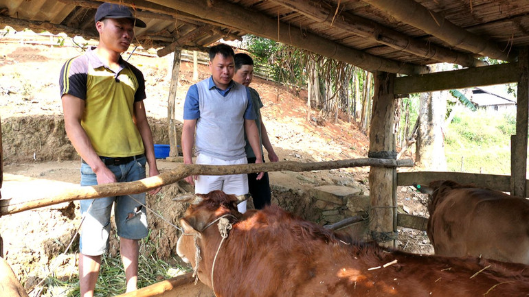 Tạo sinh kế thông qua các dự án, mô hình sản xuất cộng đồng từ nguồn vốn các chương trình mục tiêu quốc gia.