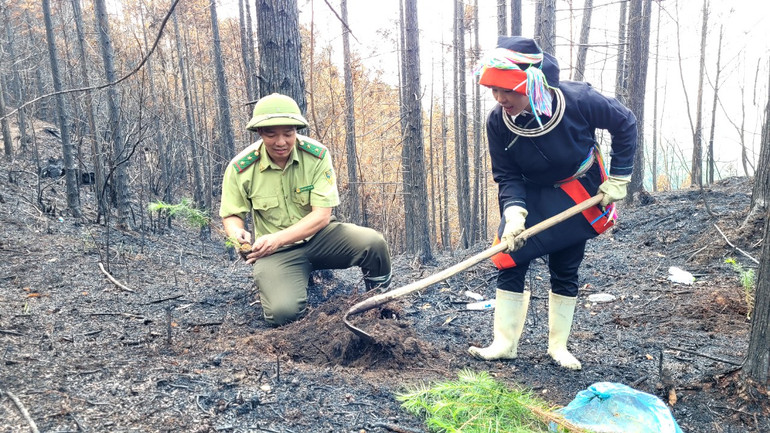 Công tác trồng, quản lý, bảo vệ rừng không chỉ là nhiệm vụ của ngành kiểm lâm, mà của toàn xã hội, đặc biệt là người dân các dân tộc trên địa bàn tỉnh Hà Giang.