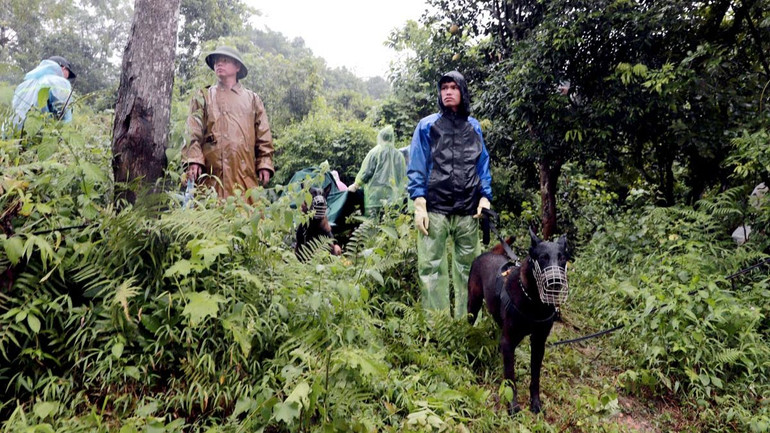 Lực lượng cứu hộ sử dụng chó nghiệp vụ để tìm kiếm nạn nhân mất tích.