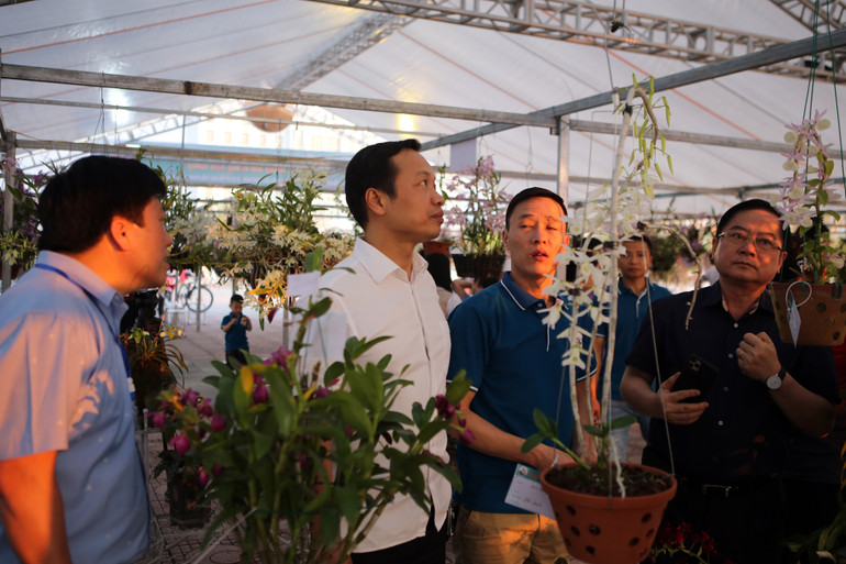 Không gian triển lãm hoa lan. Không gian triển lãm hoa lan.