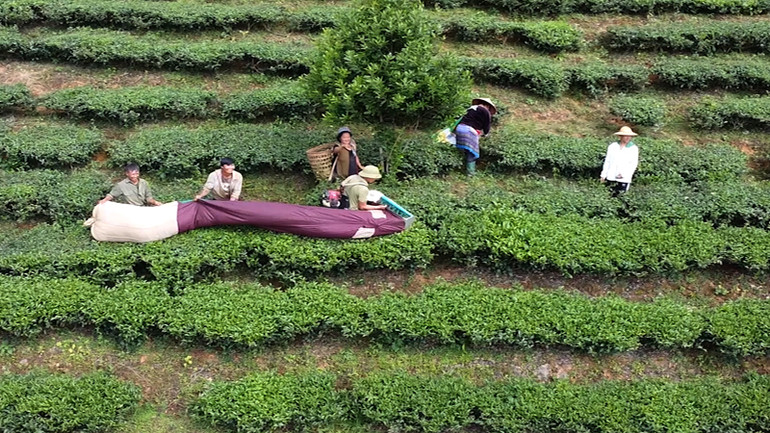 Các mô hình mới từ các chương trình mục tiêu quốc gia đã đem lại thu nhập và cuộc sống ổn định cho người dân sau khi di chuyển đến nơi ở mới.