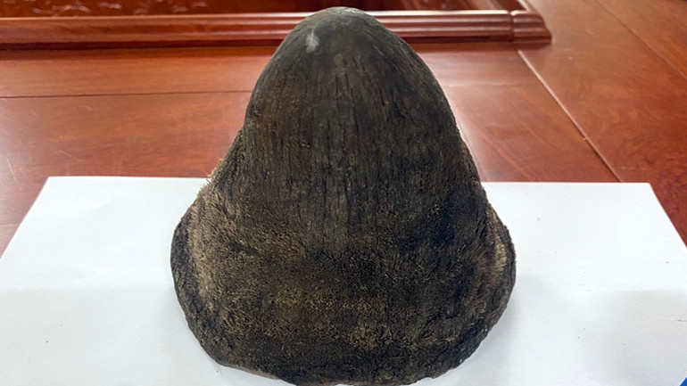 Tang vật của vụ án.