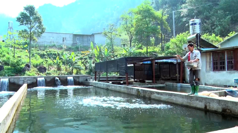 Từ mô hình thử nghiệm ban đầu chỉ 50m3, đến nay Lai Châu đã phát triển diện tích nuôi cá nước lạnh lên hơn 30 nghìn m3 với sản lượng xuất ra thị trường ước đạt hơn 500 tấn thương phẩm mỗi năm. Từ mô hình thử nghiệm ban đầu chỉ 50m3, đến nay Lai Châu đã phát triển diện tích nuôi cá nước lạnh lên hơn 30 nghìn m3 với sản lượng xuất ra thị trường ước đạt hơn 500 tấn thương phẩm mỗi năm.