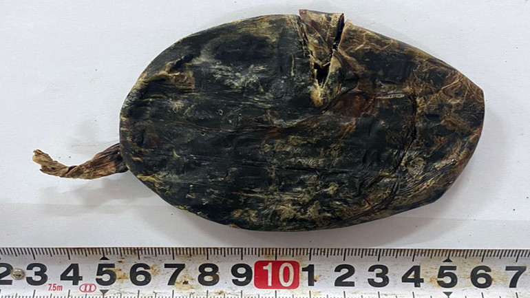 Tang vật của vụ án.