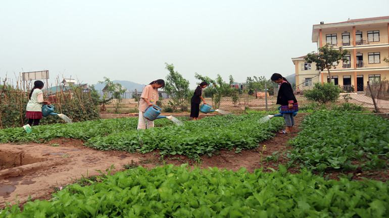 Thế hệ tương lai của Tà Tổng không phải tất cả đều thành tài, song chắc chắn rằng tương lai của các em sẽ xán lạn hơn thế hệ cha ông.