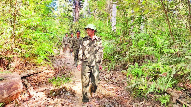 Công nhân Công ty TNHH MTV Lâm nghiệp Đắk Tô tuần tra phòng chống cháy rừng.