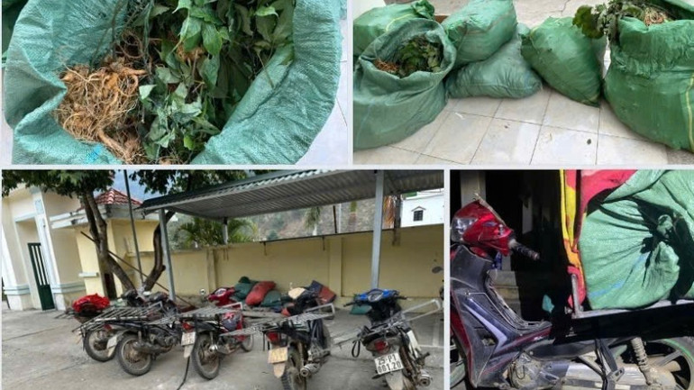 Tang vật của vụ án.