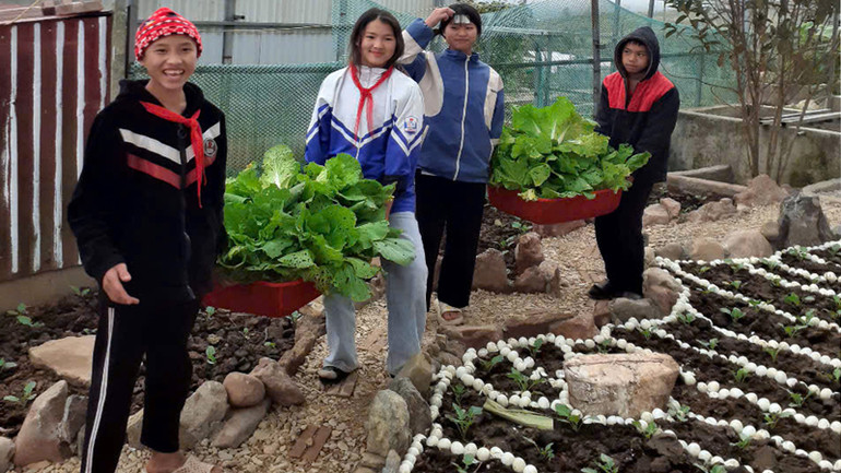 Học sinh thu hoạch rau phục vụ cho bữa ăn hằng ngày.