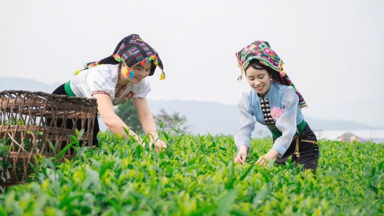 Lai Châu phát triển toàn diện, vững chắc.