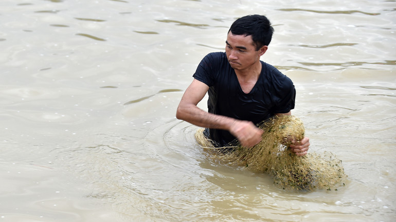 Trước đây bà con quan niệm rau trên rừng, cá dưới suối; do đó việc quăng chài, thả lưới bắt cá là một kỹ năng gắn liền với cuộc sống thường ngày của họ. (Trong ảnh: Phần thi quăng chài bắt cá)