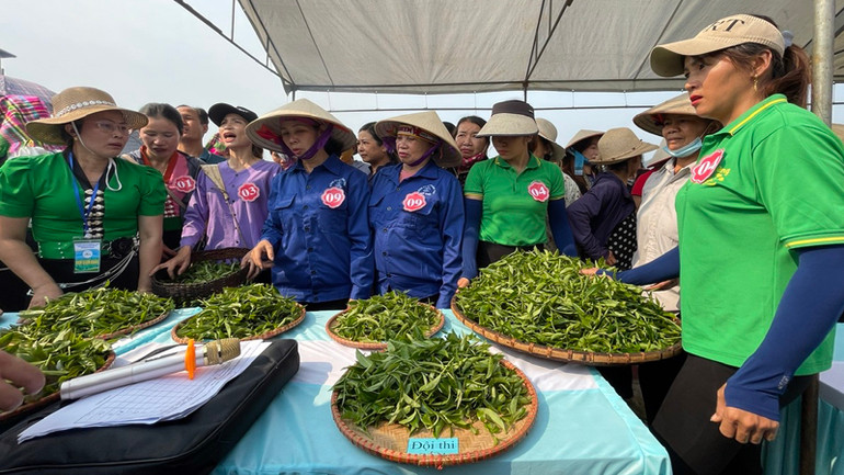 Lễ hội chè Tân Uyên lần thứ 2 sẽ diễn ra trong dịp này.