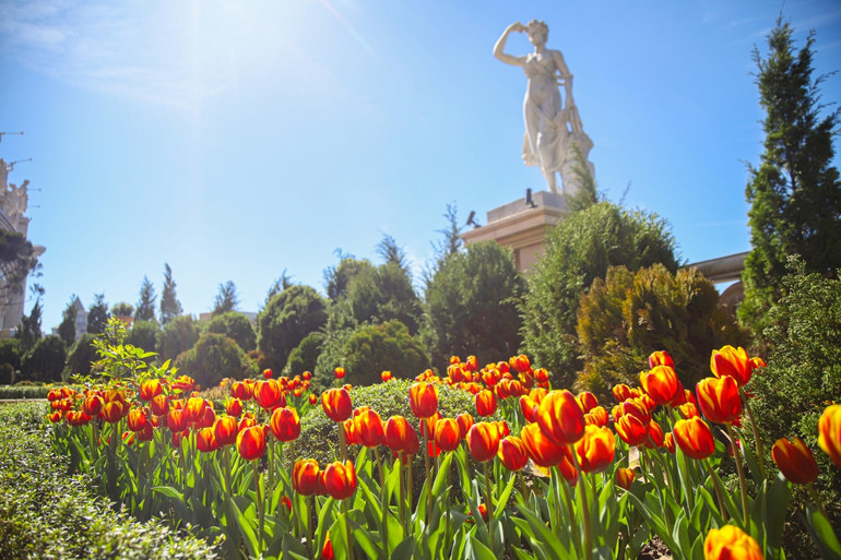 Lễ hội Mùa Xuân tràn ngập sắc hoa tại Bà Nà.