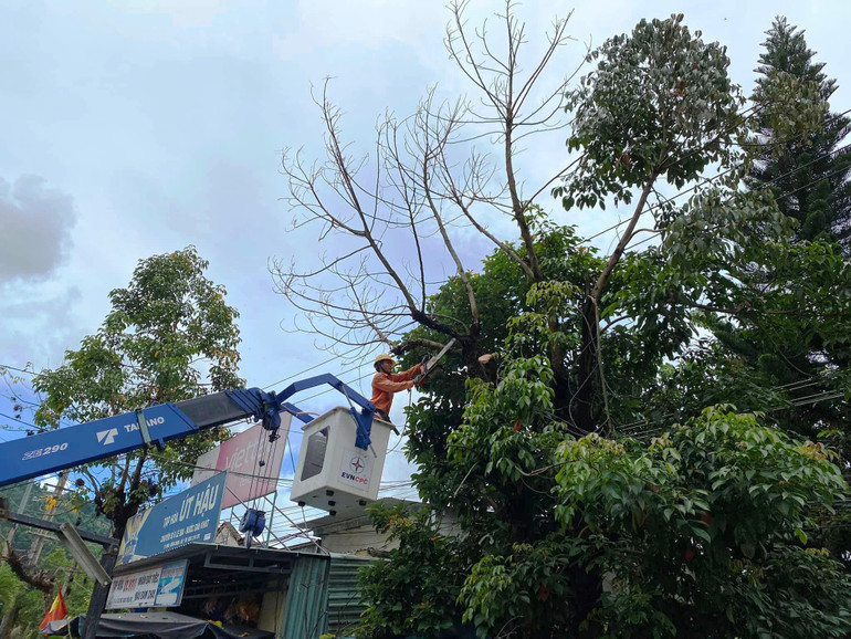 Điện lực Đông Giang bảo đảm an toàn hành lang tuyến hạ thế.