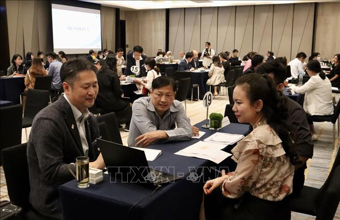 Phiên trao đổi cơ hội hợp tác du lịch Việt Nam - Nhật Bản thu hút sự tham gia của đông đảo doanh nghiệp hai bên. (Ảnh: TTXVN) Phiên trao đổi cơ hội hợp tác du lịch Việt Nam - Nhật Bản thu hút sự tham gia của đông đảo doanh nghiệp hai bên. (Ảnh: TTXVN)