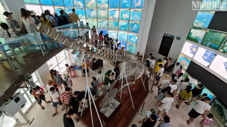 Bảo tàng Quảng Ninh thu hút đông khách dịp nghỉ lễ năm nay. (Ảnh: T.LINH) Bảo tàng Quảng Ninh thu hút đông khách dịp nghỉ lễ năm nay. (Ảnh: T.LINH)