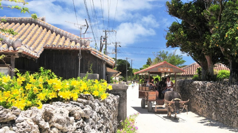 Du khách tham quan trên đảo Takeomi. (Ảnh: Klook)