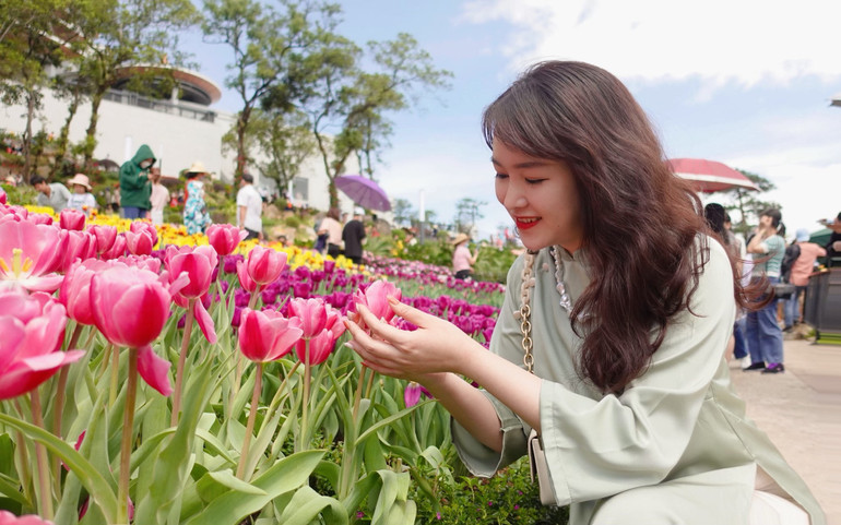 Du khách không khỏi "cầm lòng" trước vẻ đẹp của hoa tulip.