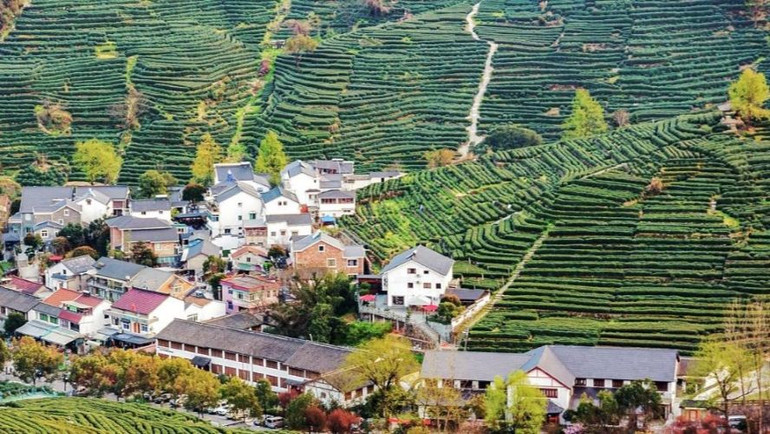 Làng trà Long Tỉnh. (Ảnh: Booking.com) Làng trà Long Tỉnh. (Ảnh: Booking.com)