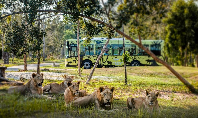 Vinpearl Safari Phú Quốc là vườn thú đầu tiên tại Việt Nam nhận được chứng chỉ của Hiệp hội SEAZA trong công tác chăm sóc và bảo tồn động vật. Vinpearl Safari Phú Quốc là vườn thú đầu tiên tại Việt Nam nhận được chứng chỉ của Hiệp hội SEAZA trong công tác chăm sóc và bảo tồn động vật.