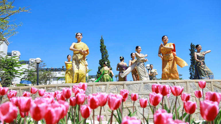 Hoa tulip nở rực rỡ trên đỉnh núi Bà Đen. (Ảnh: Sun World Ba Den Mountain) Hoa tulip nở rực rỡ trên đỉnh núi Bà Đen. (Ảnh: Sun World Ba Den Mountain)