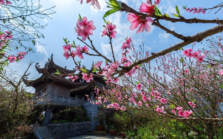 Một góc quần thể văn hóa tâm linh Fansipan rực rỡ vào xuân.