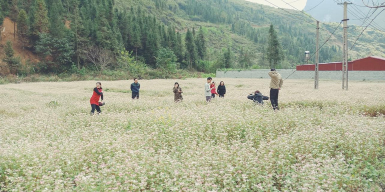 Cao nguyên đá Đồng Văn (Hà Giang) thu hút du khách bởi vẻ đẹp nguyên sơ, hùng vĩ
