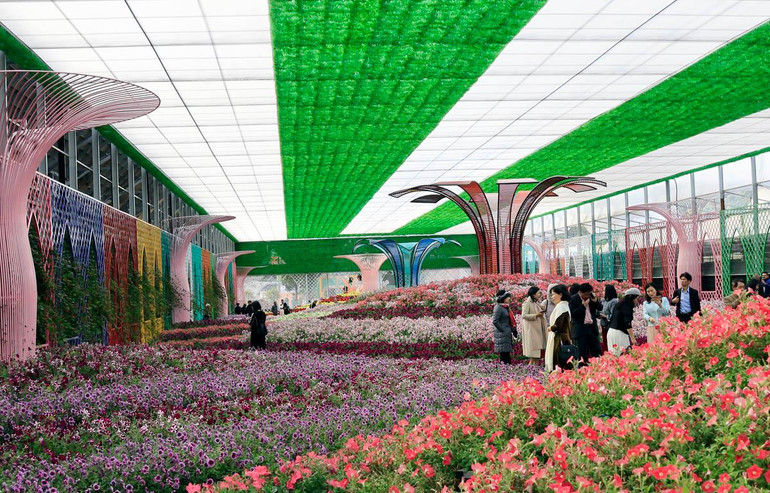 Một điểm đến trong tour tham quan Làng hoa Vạn Thành. Một điểm đến trong tour tham quan Làng hoa Vạn Thành.