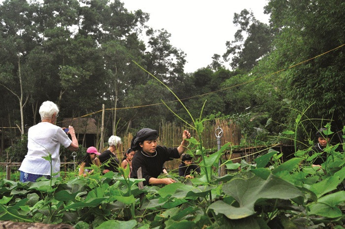 Du khách tham quan trải nghiệm tại Làng. (Ảnh: thaihai.vn)