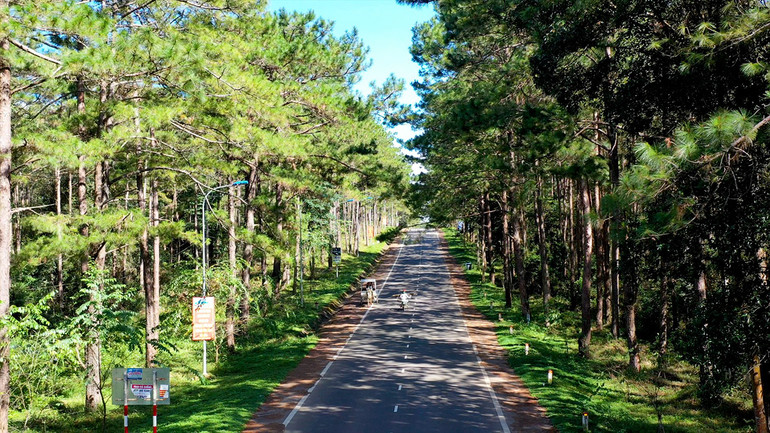 Hình ảnh con đường dài vô tận dẫn đến Măng Đen - báu vật nơi đại ngàn.