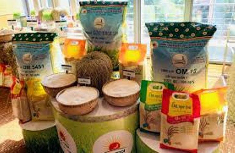 Xuất khẩu gạo đạt kỷ lục.