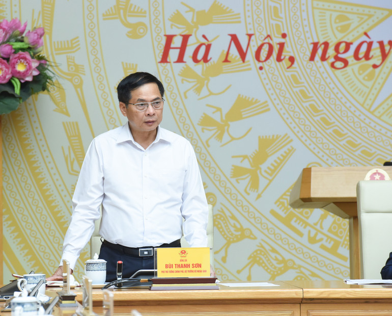 Phó Thủ tướng, Bộ trưởng Ngoại giao Bùi Thanh Sơn phát biểu tại hội nghị.