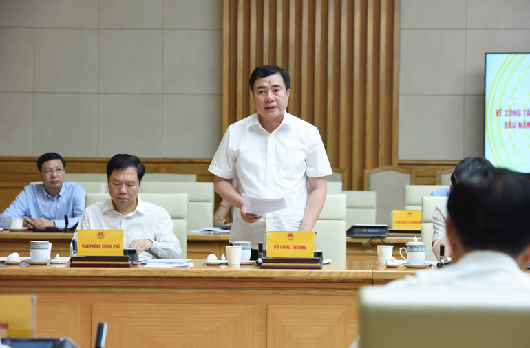 Thứ trưởng Bộ Công thương Nguyễn Sinh Nhật Tân phát biểu.