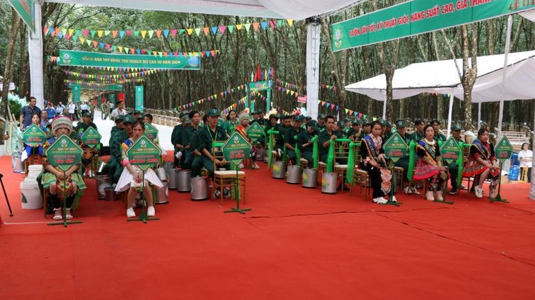 Các đội tham gia Hội thi Hội thi Bàn tay vàng thu hoạch mủ cao-su Tổng Công ty Cao-su Đồng Nai năm 2024.