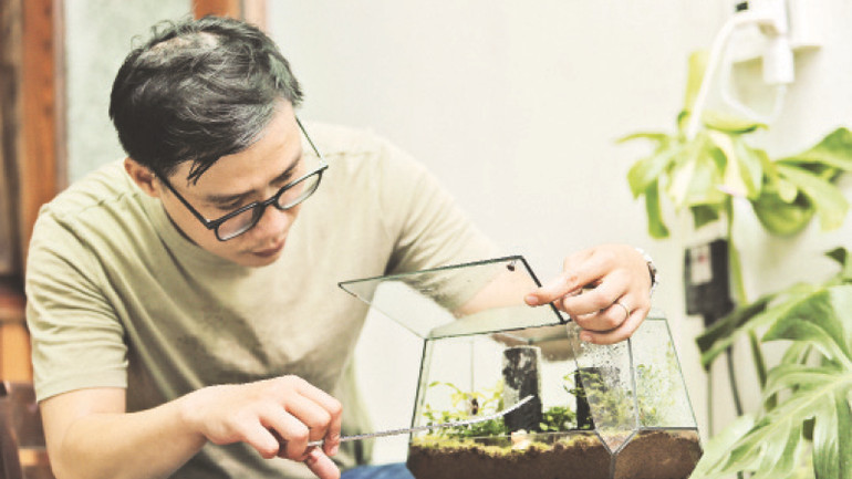 Anh Nguyễn Mai Hạ kiểm tra bể Terrarium. Anh Nguyễn Mai Hạ kiểm tra bể Terrarium.