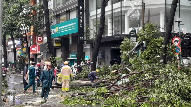 Cưa cắt và dọn nhánh cây xanh gãy rơi xuống đường Phạm Ngọc Thạch, quận 3, Thành phố Hồ Chí Minh. Cưa cắt và dọn nhánh cây xanh gãy rơi xuống đường Phạm Ngọc Thạch, quận 3, Thành phố Hồ Chí Minh.