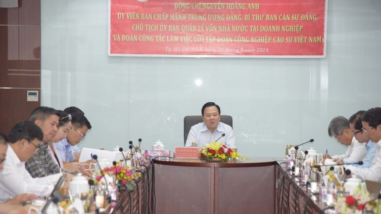 Ông Nguyễn Hoàng Anh, Ủy viên Trung ương Đảng, Chủ tịch Ủy ban Quản lý vốn Nhà nước tại doanh nghiệp phát biểu chỉ đạo tại cuộc họp.