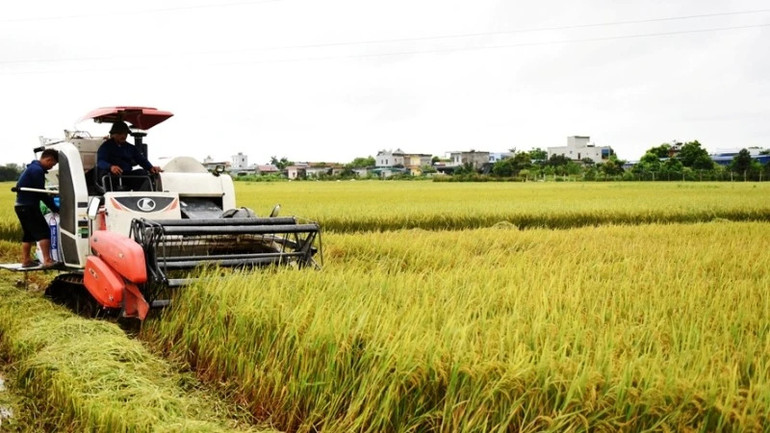Theo Bộ Tài nguyên và Môi trường, có nhiều nguyên nhân làm cho chất lượng đất bị suy giảm.