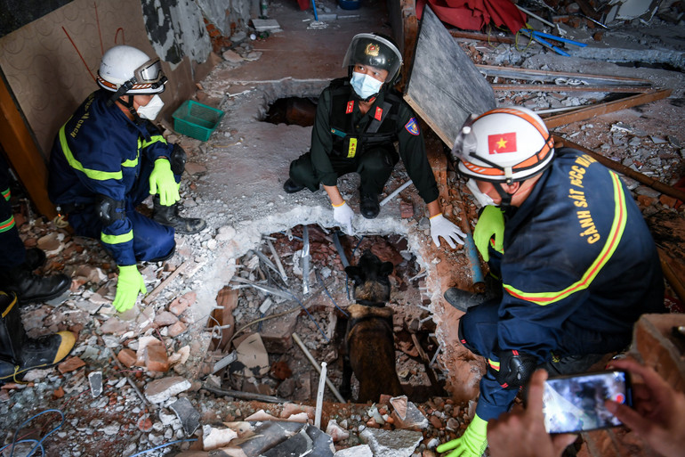 Chó nghiệp vụ "tác nghiệp" tại không gian khó khi tìm kiếm các nạn nhân động đất ở Myanmar.