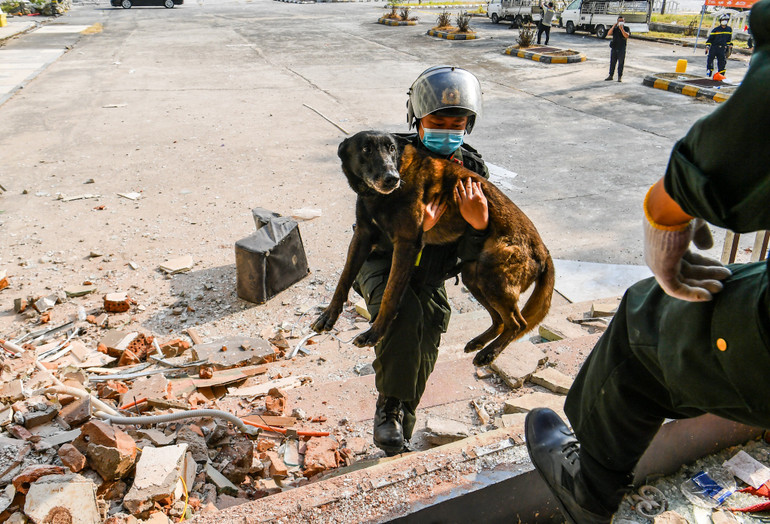 Chó nghiệp vụ được cẩn thận bế vào hiện trường nhằm tránh gặp phải thương tích không đáng có.