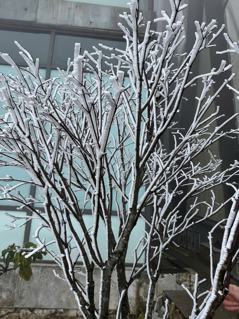 Những lớp tuyết xuất hiện tại Fansipan chiều 27 Tết.