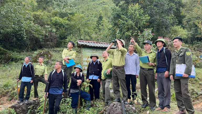 Lực lượng chức năng tại Vườn Quốc gia Hoàng Liên luôn nỗ lực bảo vệ rừng, bảo vệ đa dạng sinh học.