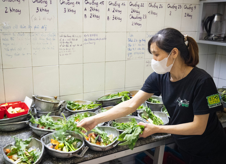 Chuẩn bị khẩu phần ăn đặc biệt cho vượn Mafia. Chuẩn bị khẩu phần ăn đặc biệt cho vượn Mafia.