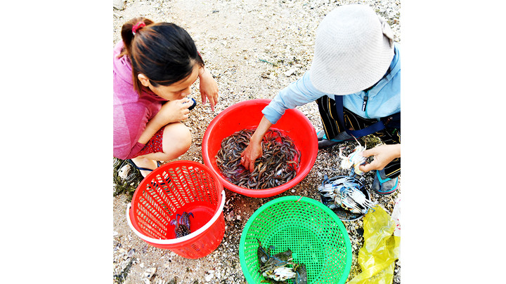 Thu hoạch tôm, cua từ đầm.