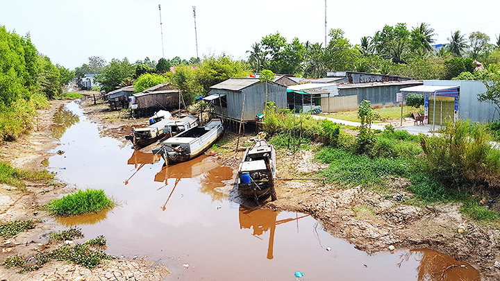 Nhiều con kênh lớn ở vùng ngọt huyện Trần Văn Thời, Cà Mau khô cạn nước ngọt vì nắng hạn khốc liệt.