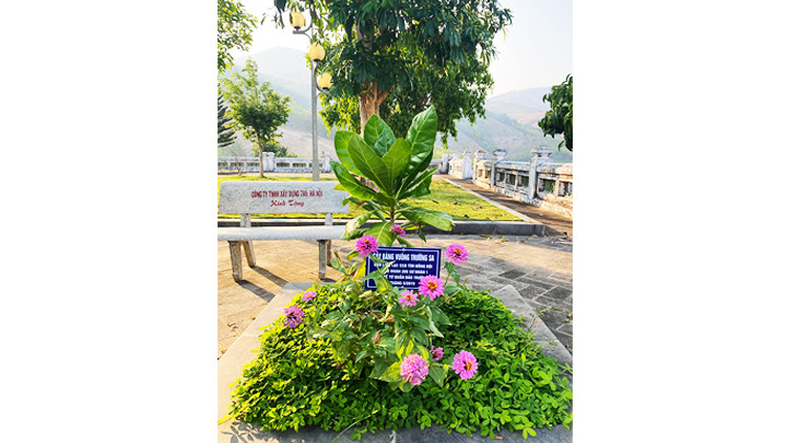 Cây bàng vuông từ Trường Sa được trồng tại Đài tưởng niệm các liệt sĩ Hà Nội (xã Ia Xier, huyện Sa Thầy, Kon Tum).